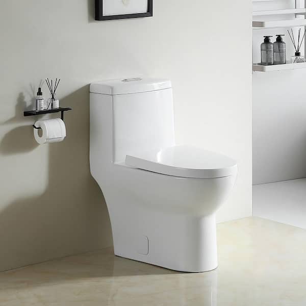 CATALINA 12 in. Rough In Dual Flush 0.88/1.2 GPF 1-piece Toilet in Glossy White with PP Soft Closing Seat Cover