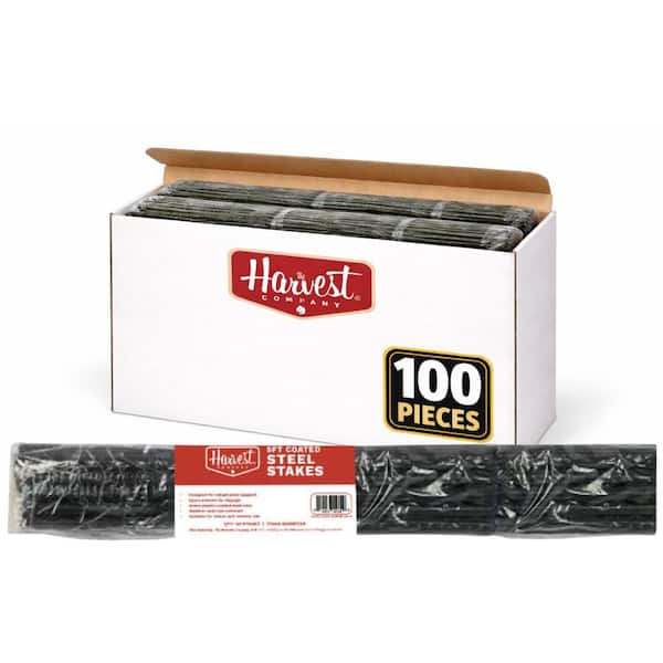 5 ft. Coated Steel Garden Stakes - 7/16 in. Dia (100-Pack)