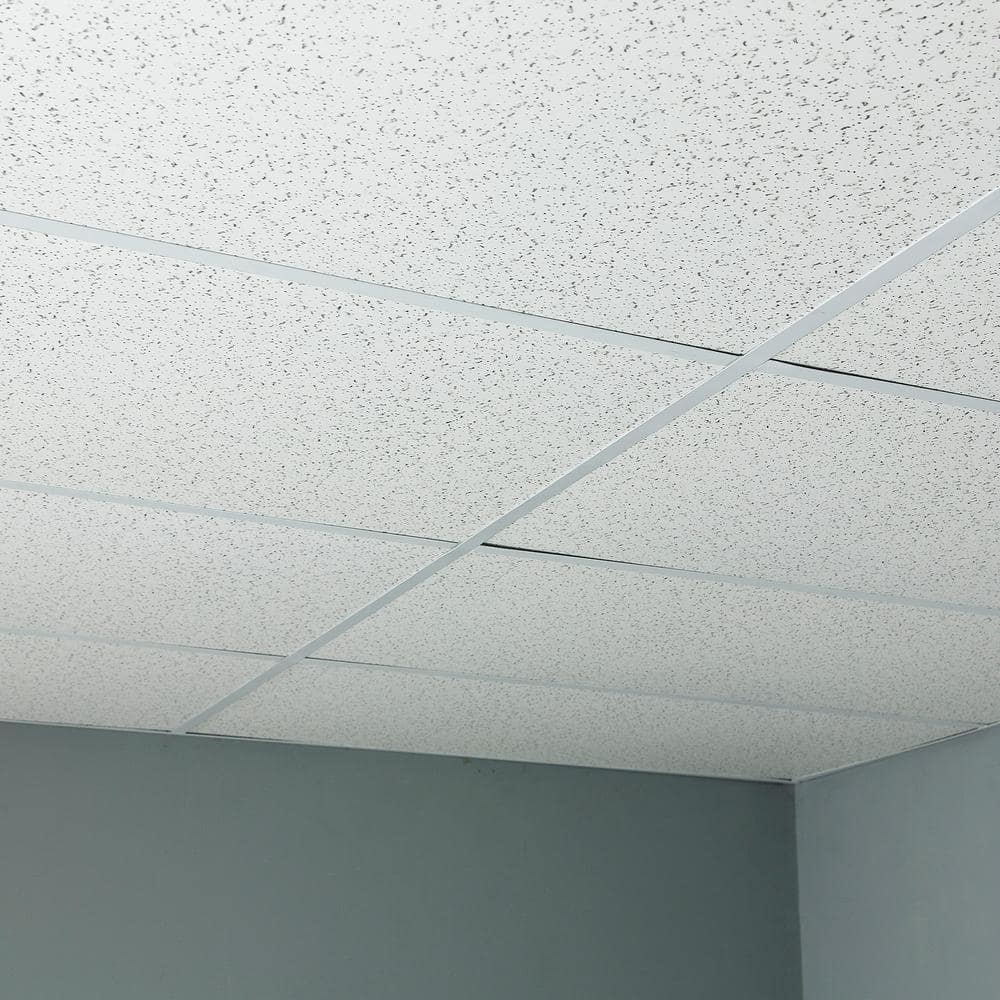 White Matte PVC 2' x 4' Waterproof Ceiling Tile