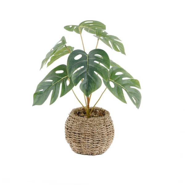 Flora Bunda 15 "H Artificial Split Leaf in 6" Basket 6X6X4. 25