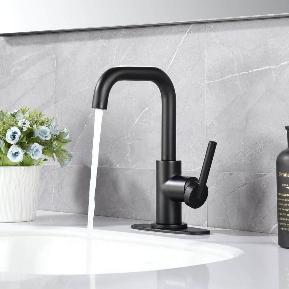 Matte Black Single-Handle Bathroom Faucet with Drain Assembly