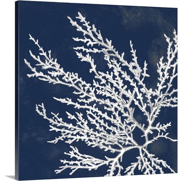 36 in. x 36 in. "Coastal Coral I" by Lanie Loreth Canvas Wall Art