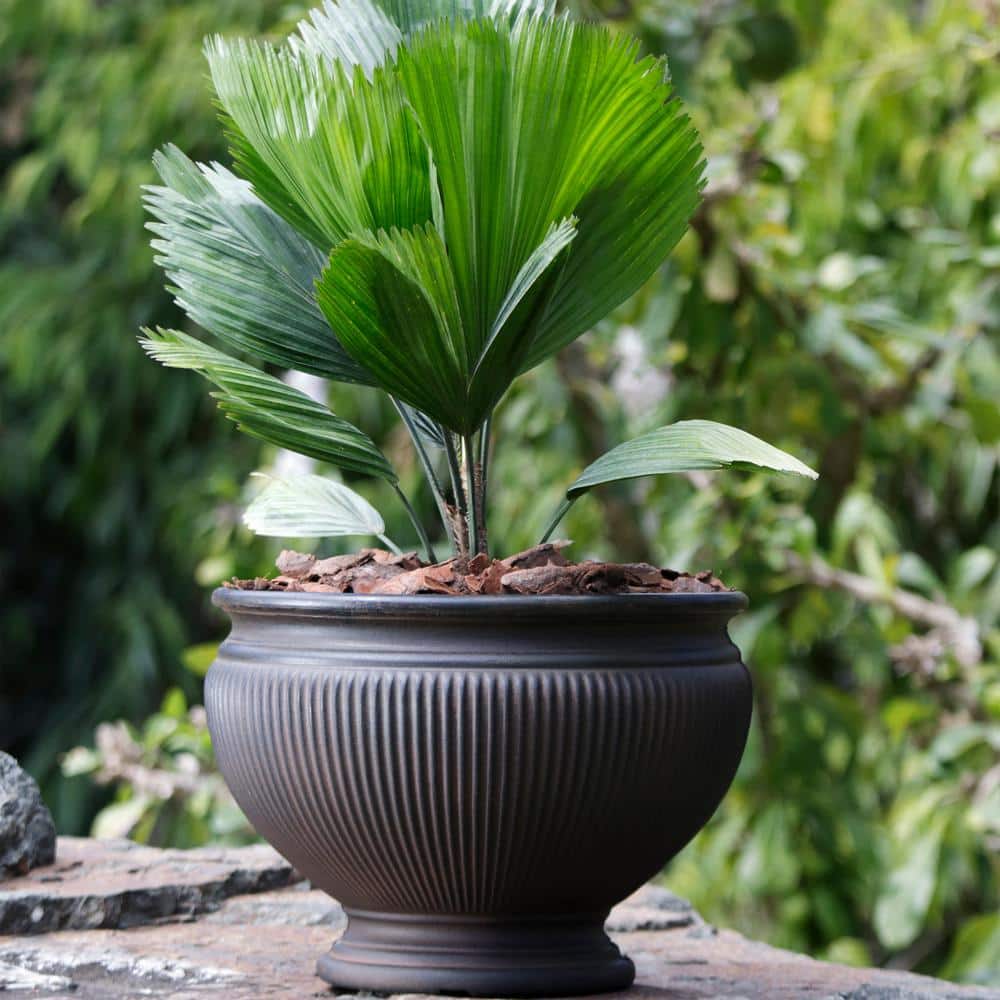 Rust Polyresin Ribbed Outdoor Planter Pot with Antique Finish