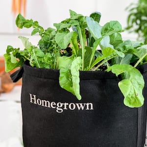 5 Gal. Portable Outdoor Homegrown Garden Grow Bag Kit with Vegetable and Herb Plants