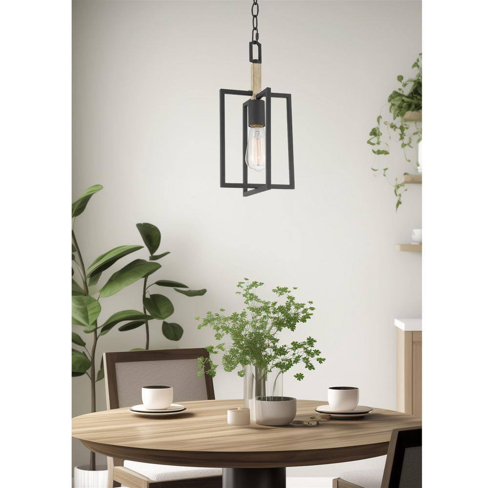 Sheffield Sandblasted Black Metal Farmhouse Pendant Light