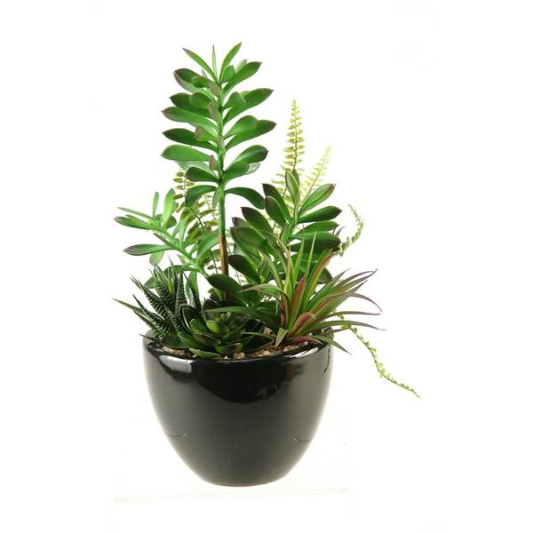 D&W Silks Indoor 14 in. Artificial Succulent, Aloe and Echeveria in Round Ceramic Planter