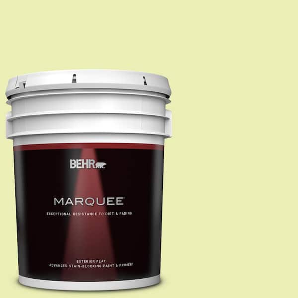 BEHR MARQUEE 5 gal. #410A-2 Cabbage Green Flat Exterior Paint & Primer