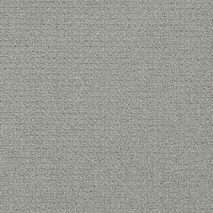 Tailgate Classic - Winton - Gray 28 oz. SD Polyester Pattern Installed Carpet