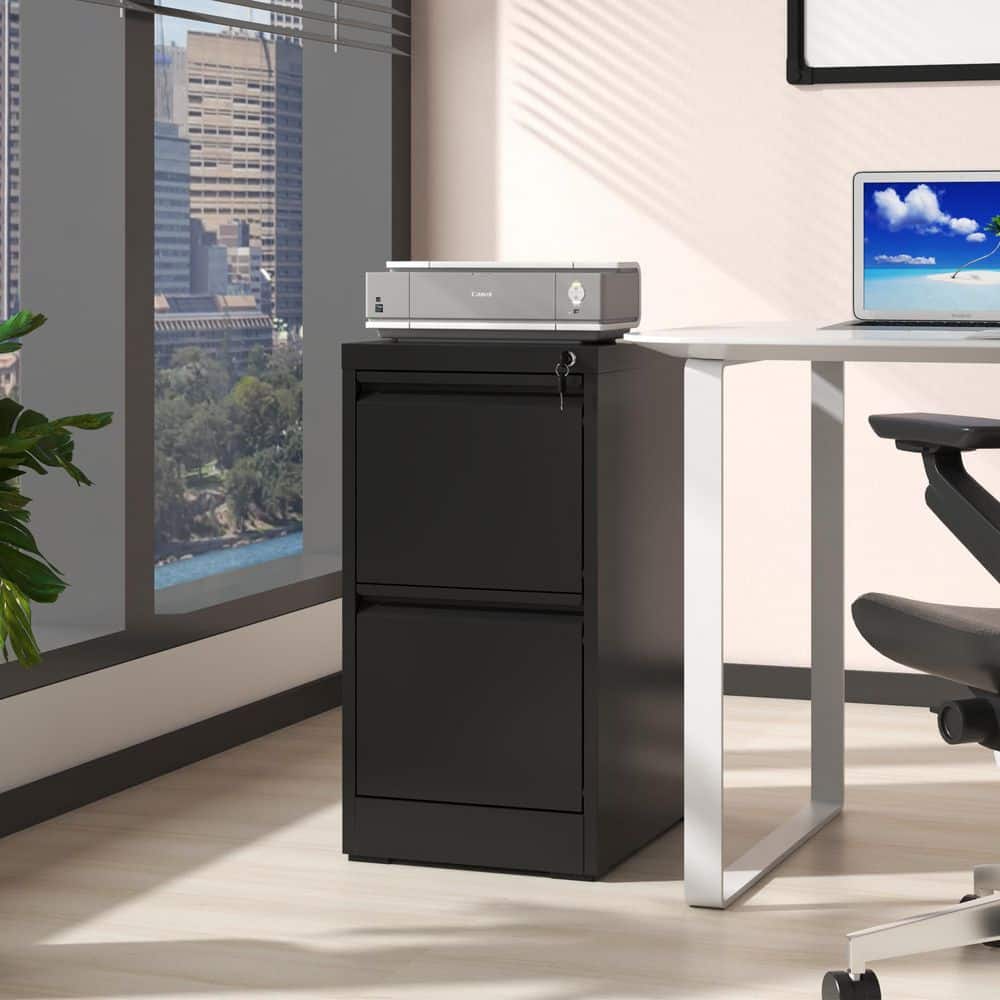2-Drawer Black Metal 15 in. W x 28.78 in. H Vertical File Cabinet with Lock Modern Office Home Steel Storage Cabinet