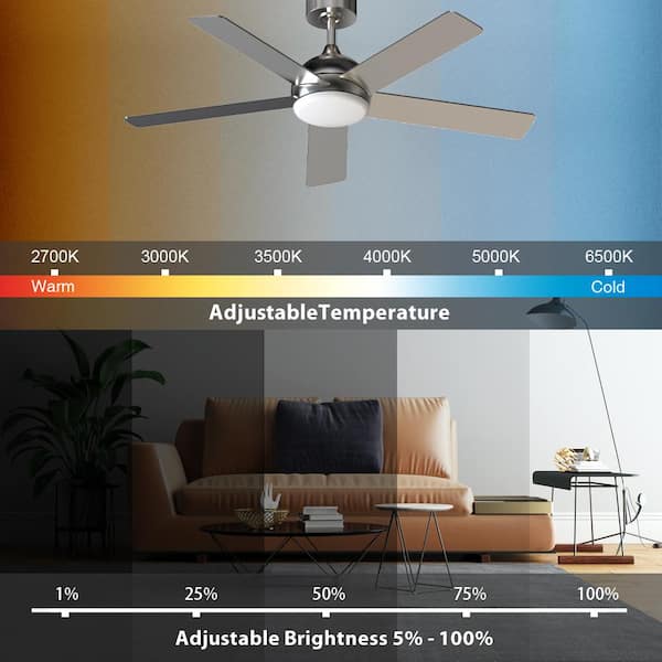 Ceiling Fans Lights Cyprus Shelly Lighting