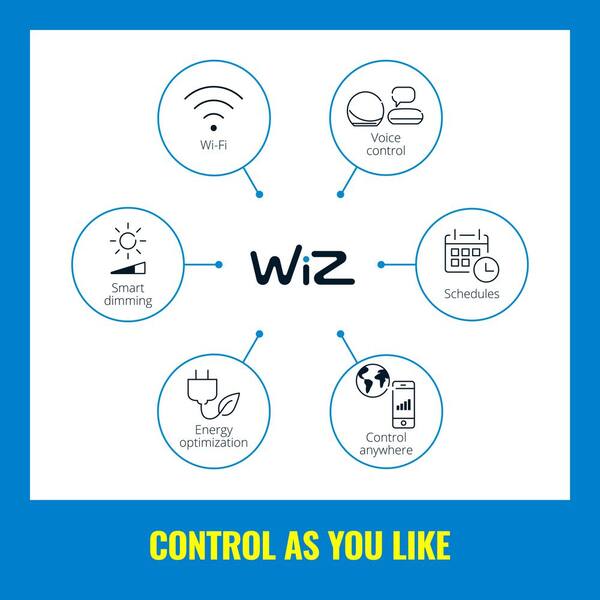 Buy WiZ Accessories Smart plug WiFi/Bluetooth (F) with wattmeter White