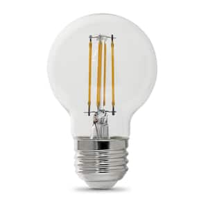 40-Watt Equivalent G16.5 Dimmable Filament ENERGY STAR Clear Glass Globe E26 LED Light Bulb, Soft White 2700K (48-Pack)