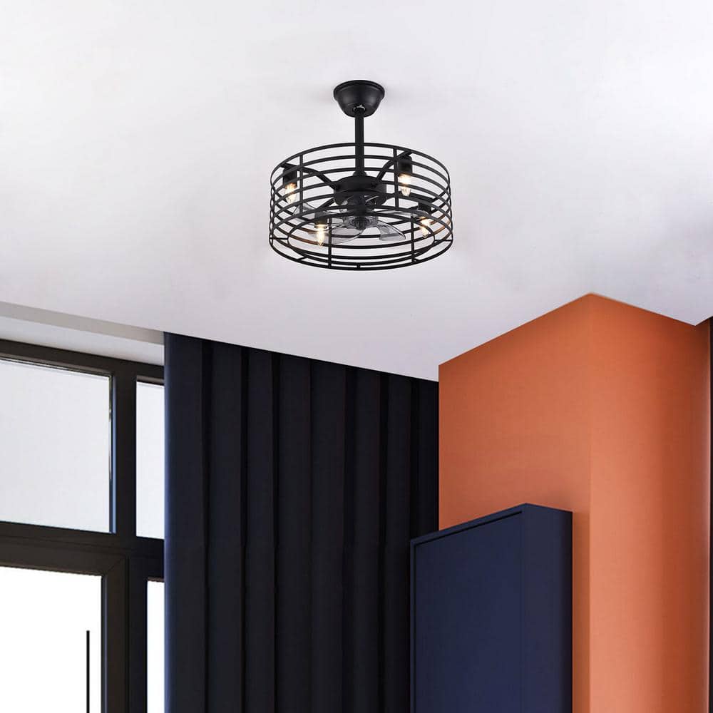 20'' Black Industrial Caged Ceiling Fan with Lights and Remote