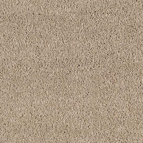 Lifeproof Ambrosina I  - Fieldstone - Beige 30 oz. Triexta Texture Installed Carpet
