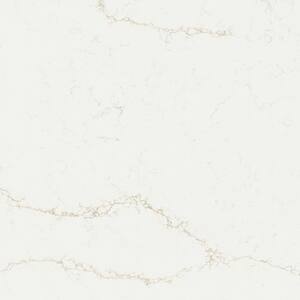 STONEMARK 5 in. x 7 in. Quartz Countertop Sample in Calacatta Safyra P ...