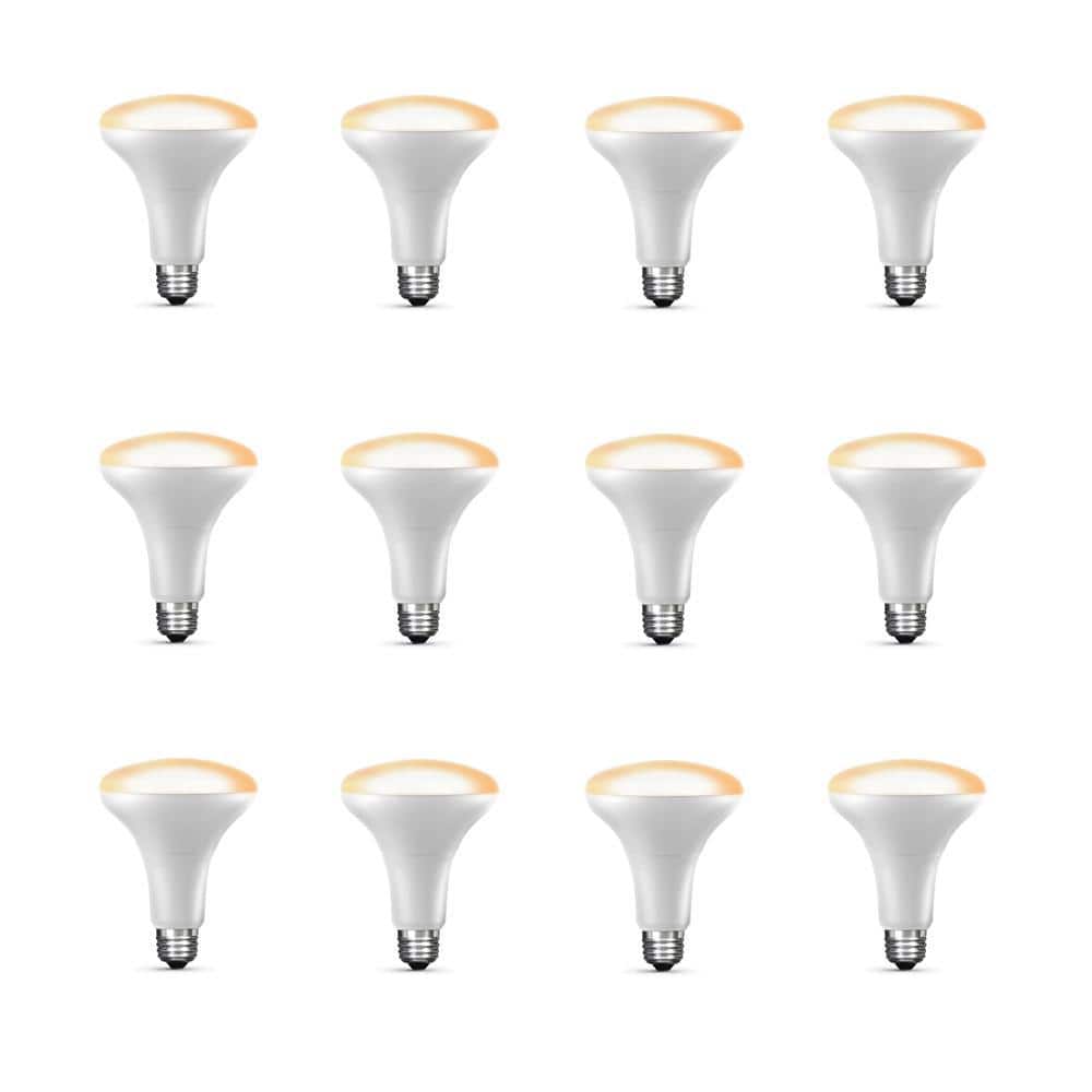 65-Watt Equivalent BR30 Apple HomeKit Smart Wi-Fi Wireless Dimmable E26 Medium LED Light Bulb Soft White 2700K (12-Pack) price history on PriceWatchPro
