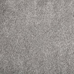 8 in. x 8 in. Texture Carpet Sample - Gemini II Color -Color Keystone