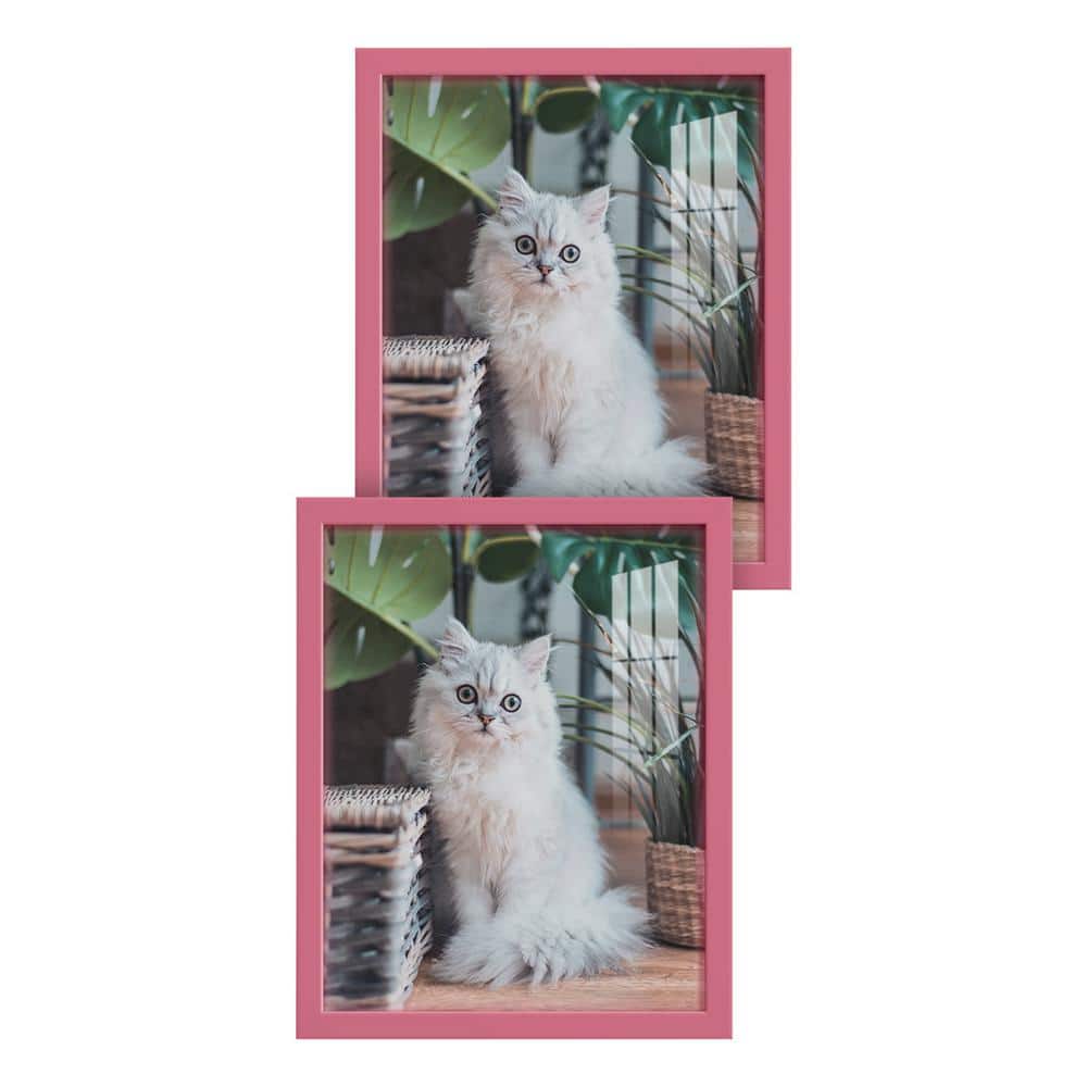 Wexford Home Modern 11 in. x 14 in. Hot Pink Picture Frame (Set of 2
