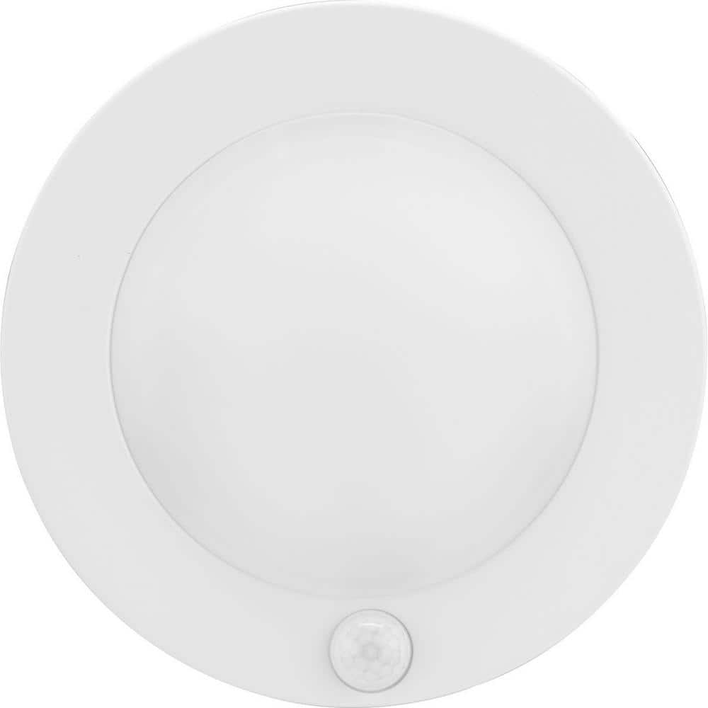 White LED Indoor/Outdoor Drum Flush Mount Light