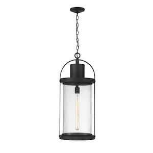 1-Light Black Outdoor Pendant Light with Clear Seedy Glass Shade