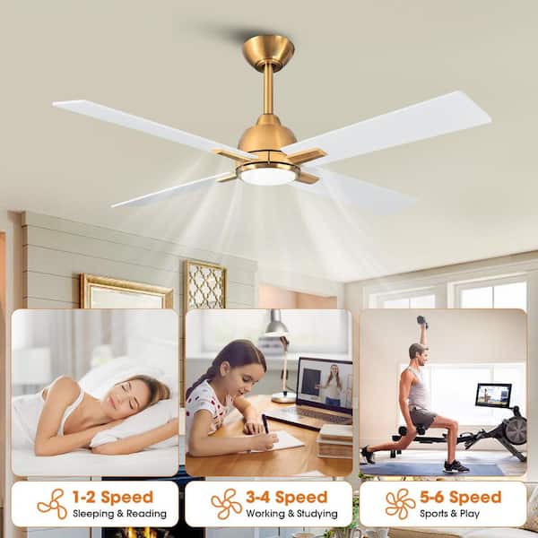 Parrot Uncle 48 in. Indoor Integrated LED Gold Ceiling Fan with