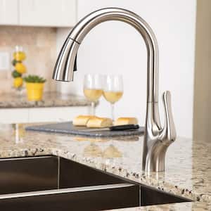 Chelsea Single-Handle Pull-Down Sprayer Kitchen Faucet in Stainless Steel