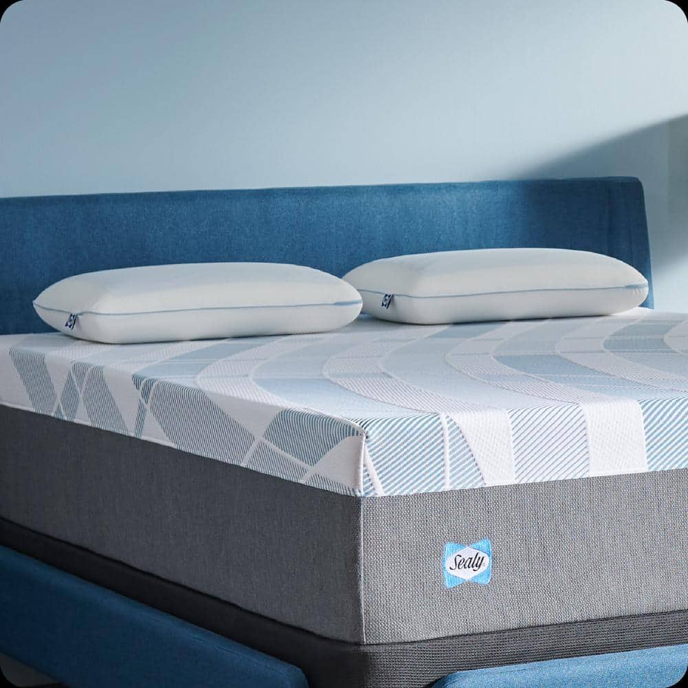 Sealy Dreamlife Standard Memory Foam Gel Pillow