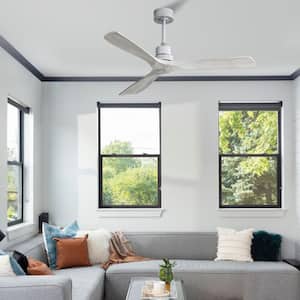 52 in. Indoor/Outdoor 6-Speed Ceiling Fan in Silver with Remote Control