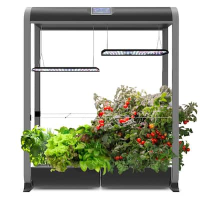 Farm 24 XL with Salad Bar Seed Pod Kit, Black