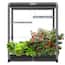https://images.thdstatic.com/productImages/fd93fa9e-4b91-4789-9f24-093a204dec63/svn/black-aerogarden-hydroponic-systems-900970-1600-64_65.jpg