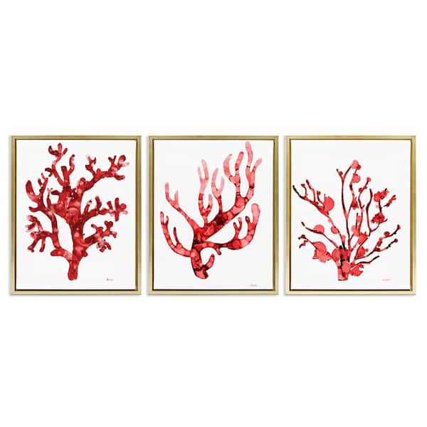 Stupell Industries Bold Red Coral by Patti Mann 3 Pieces Gold Floater Frame Coastal Graphic Art Print 31 in. x 25 in.