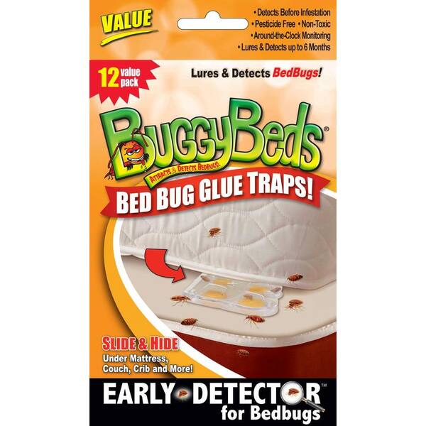 BuggyBeds Value Bedbug Glue Trap Detects and Lures Bedbugs (12-Pack)