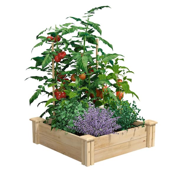 Vigoro Natural Cedar Raised Garden Bed  (2 ft. L x 2 ft. W x 7 in. H)