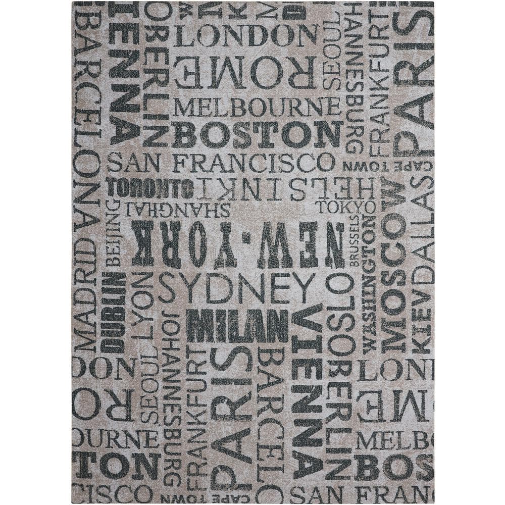 Graphite Rectangular Synthetic Flat Woven Area Rug