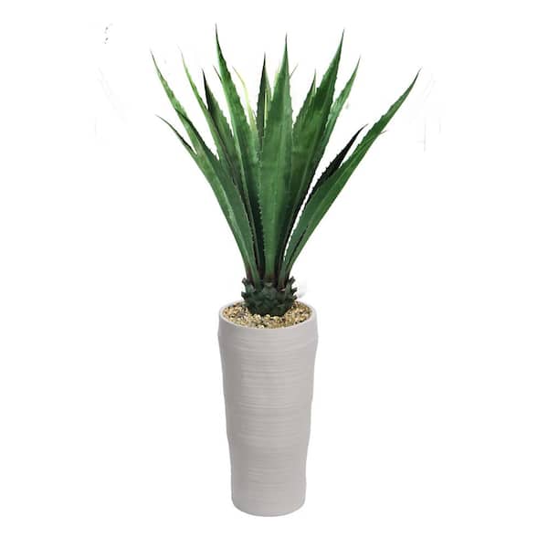 Laura Ashley 72 in. Agave, Indoor/outdoor in Fiberstone Planter