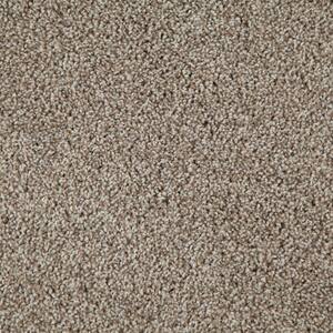 Americana - Color Sedona Indoor 12 ft. Texture Brown Carpet