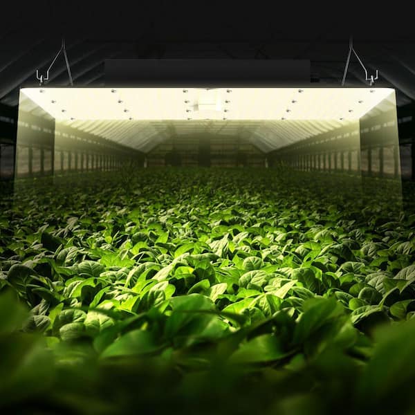 SVOPES 400 W LED Grow Light, Full Spectrum Dimmable, High Yield