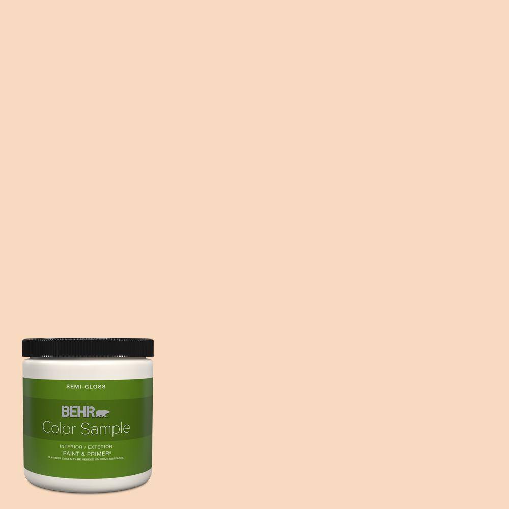 BEHR PREMIUM PLUS 8 oz. M220-2 Pumpkin Essence Semi-Gloss  InteriorExterior Paint & Primer Color Sample B330016 - The Home Depot