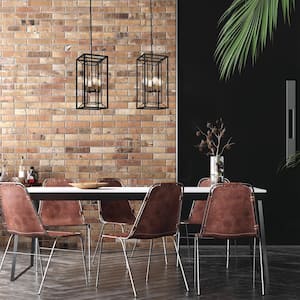 Within 60-Watt 4-Light Matte Black Pendant with Cage Shade