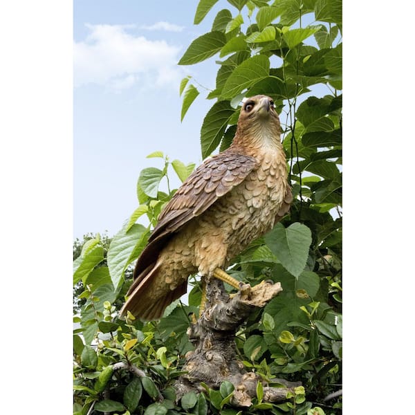 HI-LINE GIFT LTD. Wild Hawk Standing on Branch Garden Statue