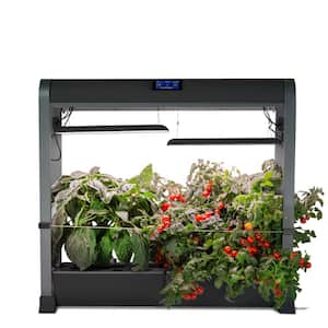 Farm 24 Plus with Salad Bar Seed Pod Kit, Black