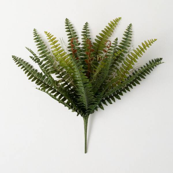 SULLIVANS 18.5" Sprouting Boston Fern Spray; Green