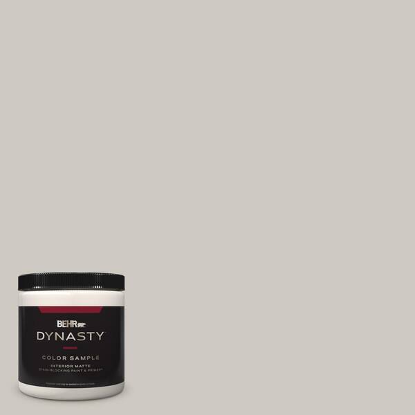 BEHR DYNASTY Home Decorators 8 oz. #HDC-WR14-2 Winter Haze Matte Stain-Blocking Interior/Exterior Paint and Primer Sample