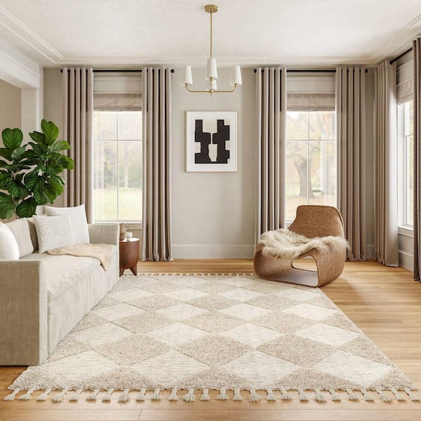 Aylin Diamond Tasseled Beige 10 ft. x 14 ft. Indoor Area Rug