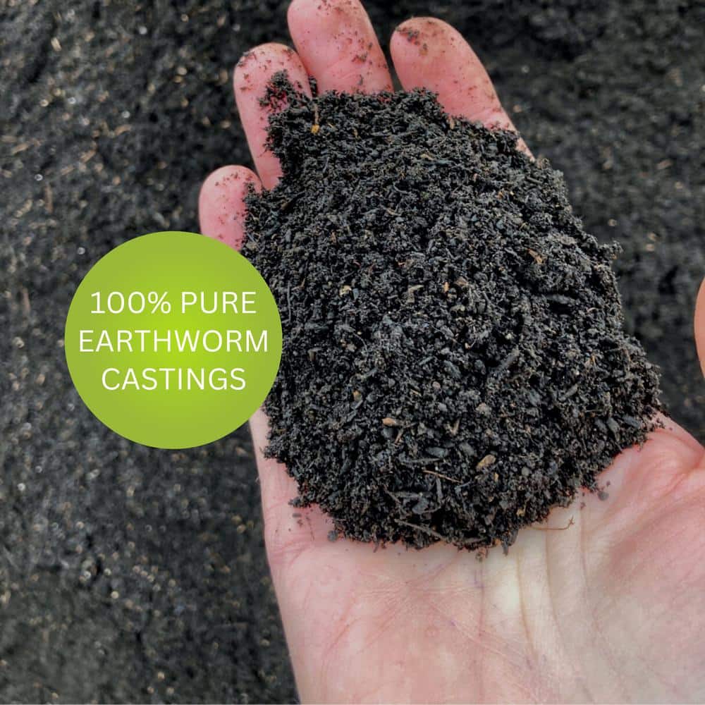 https://images.thdstatic.com/productImages/fda6757b-6919-496b-bbcb-658fb3750d92/svn/earth-science-organic-plant-food-12130-76_1000.jpg