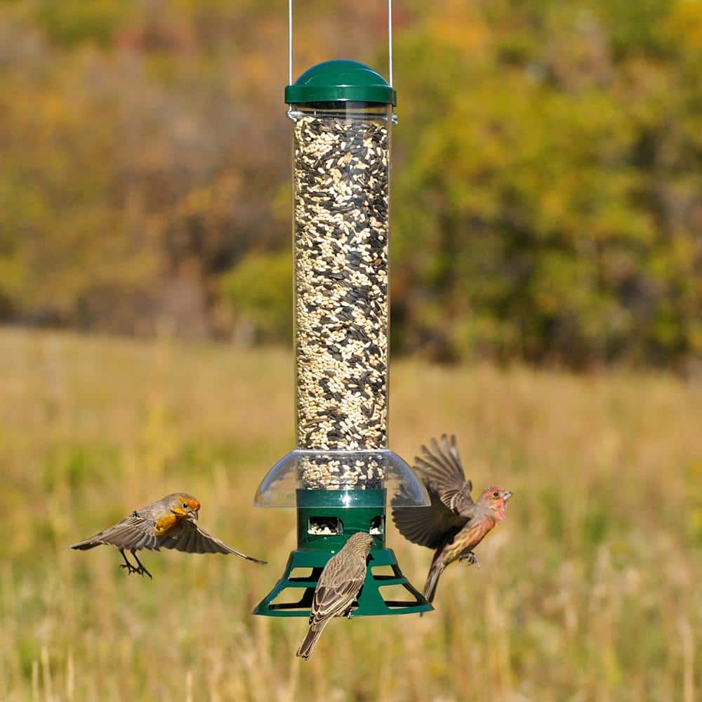 Green and Clear Squirrel Resistant Hanging Tube Bird Feeder