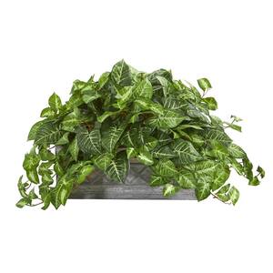 Nearly Natural 6460 Pothos Artificial Plant in Metal Planter Green Nearly Natural 6460 Pothos Artificial Plant in Metal Planter Green