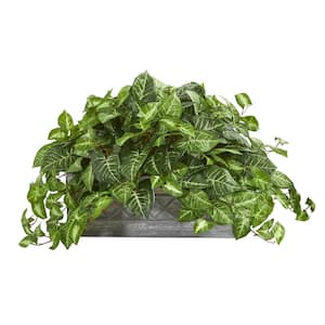 Indoor Nepthytis Artificial Plant in Stone Planter