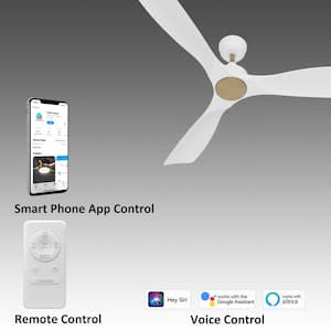Kilkeel 52 in. Indoor White DC Motor Wi-Fi Smart Ceiling Fan with Remote, Works with Alexa/Google Home
