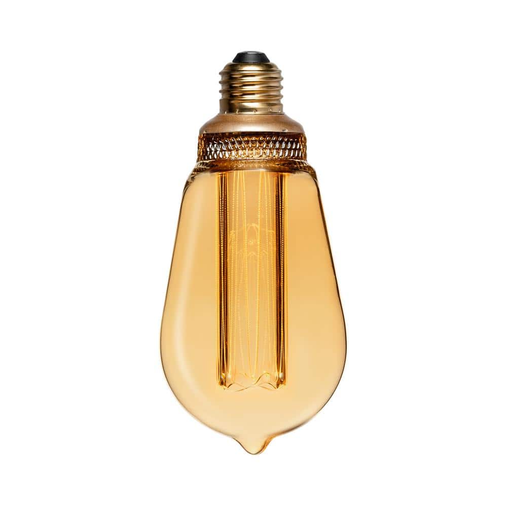 38灯 38-kT nature ver. Philips Non-Dimmable 13.5W Red 40° PAR38 LED Bulb, Outdoor